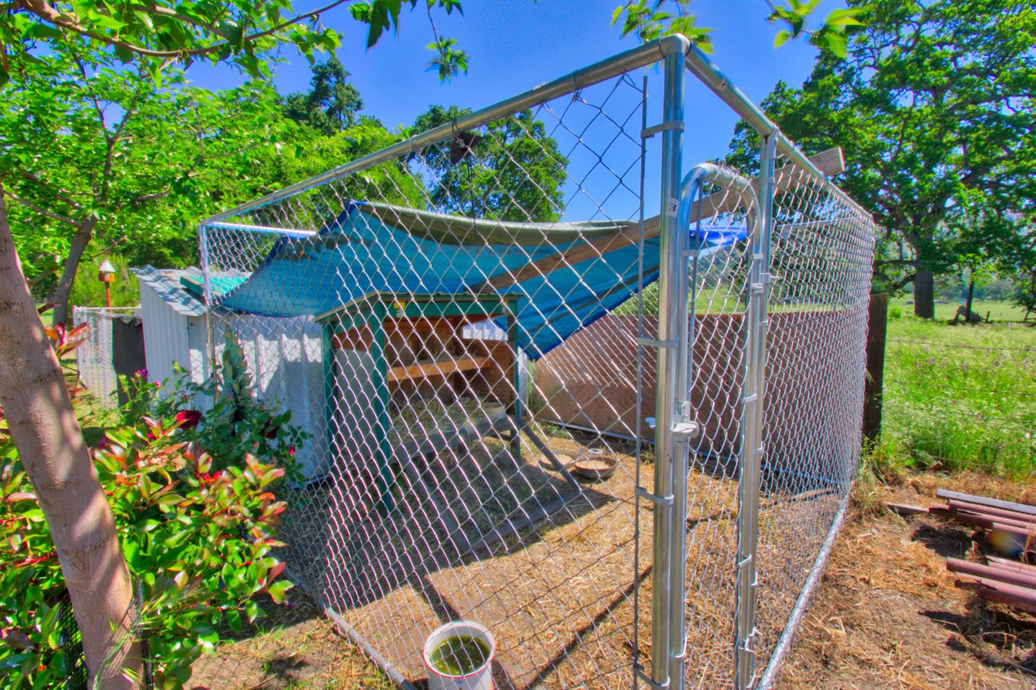 31822 Indian Guide Road Squaw Valley, CA 93675 - Photo 41 of 49 Gallery Image 41