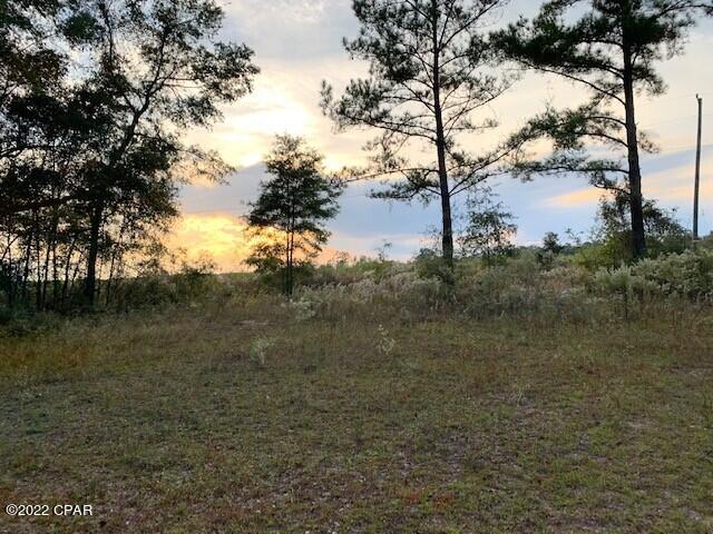 605 Mine Road Midway, FL 32343 - Photo 2 of 17 Gallery Image 2