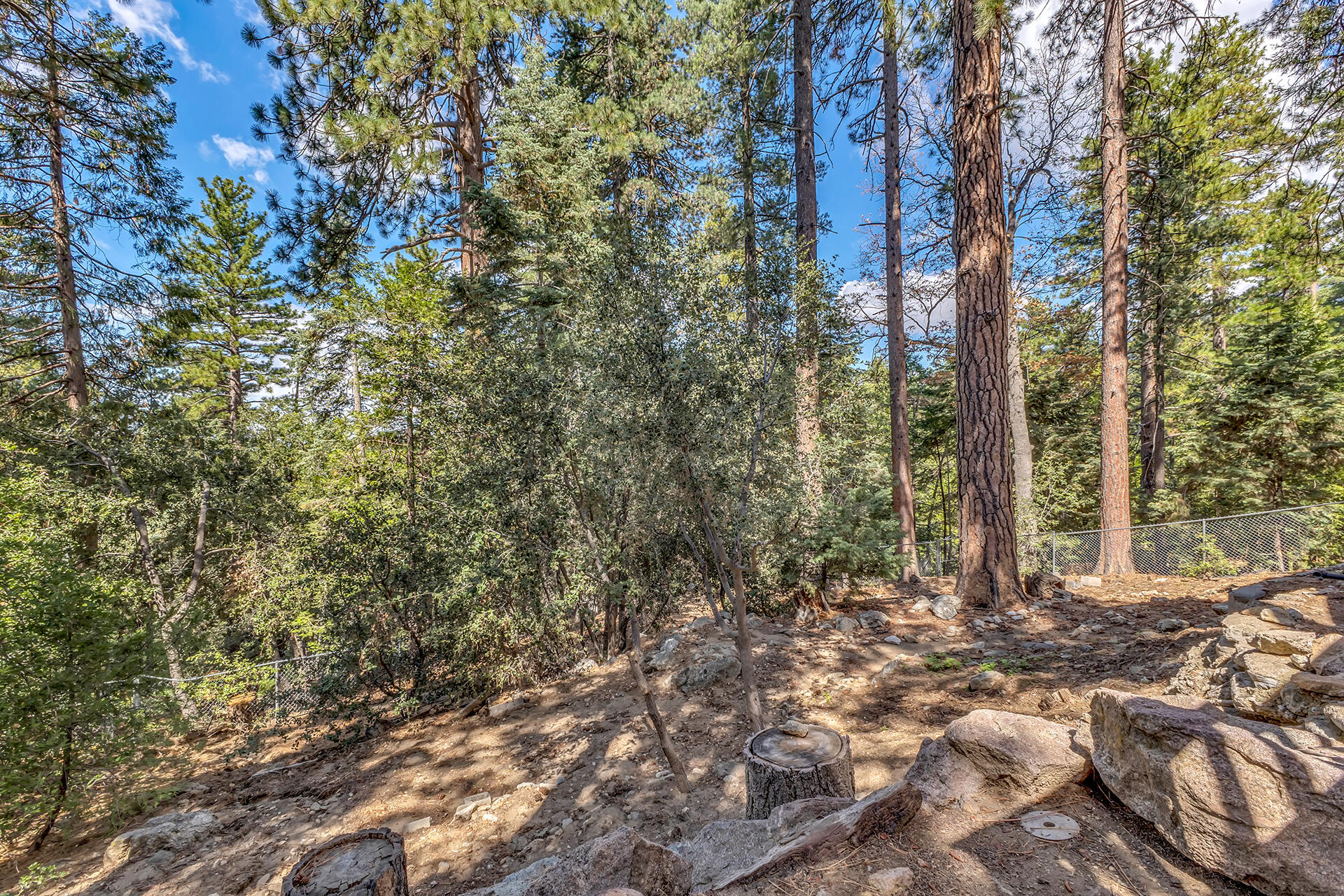 52680 Pine Ridge Road Idyllwild, CA 92549 - Photo 71 of 90 IMG_0475