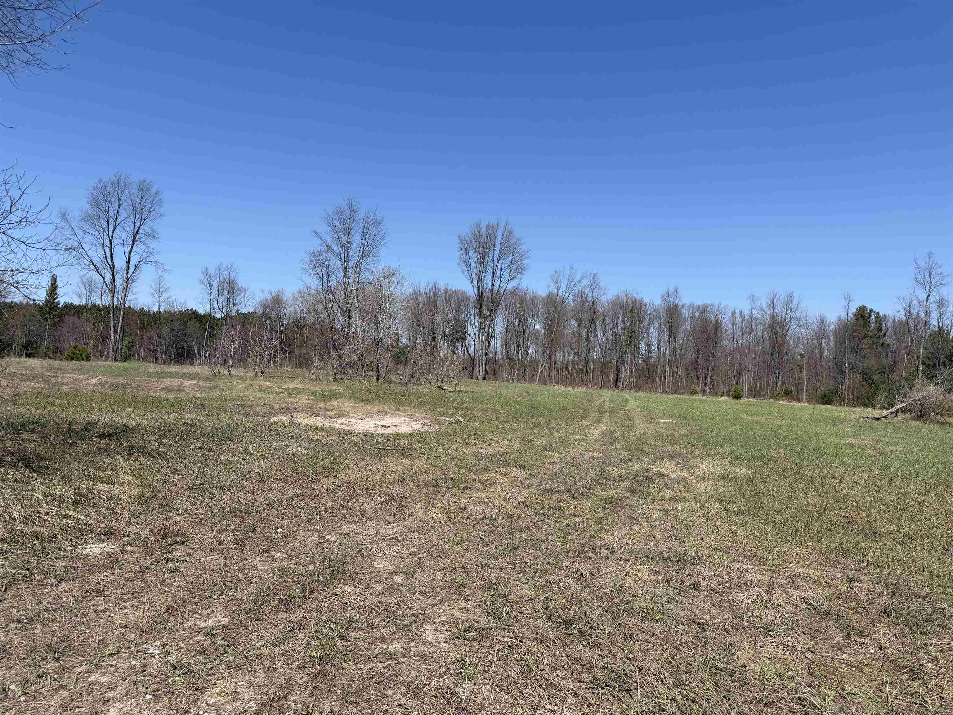 0 Landis Road Thompsonville, MI 49683 - Photo 18 of 26