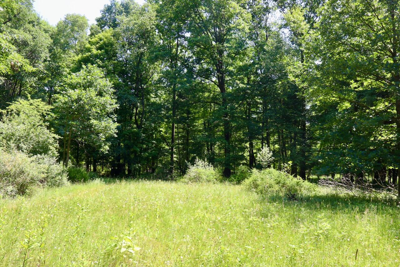 4718 Church Road Six Lakes, MI 48886 - Photo 31 of 76 030