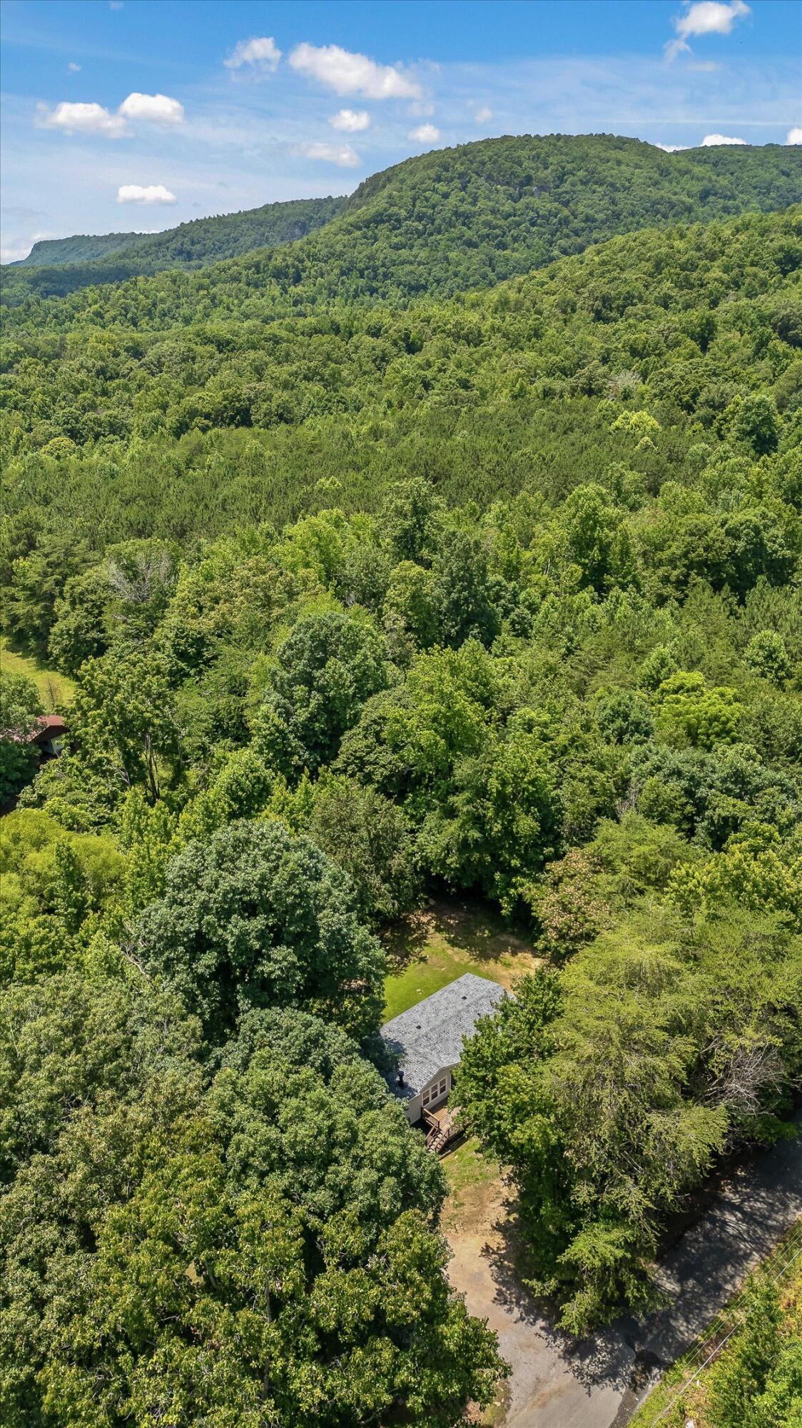 715 Lusk Loop Road Dunlap, TN 37327 - Photo 48 of 56 715 Lusk Loop Road