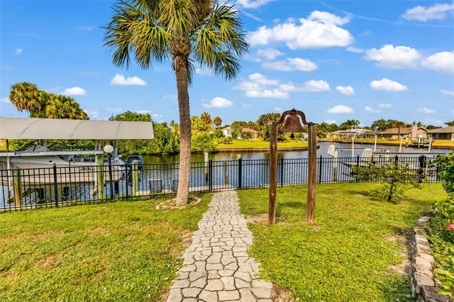 a view of a yard with flower plants