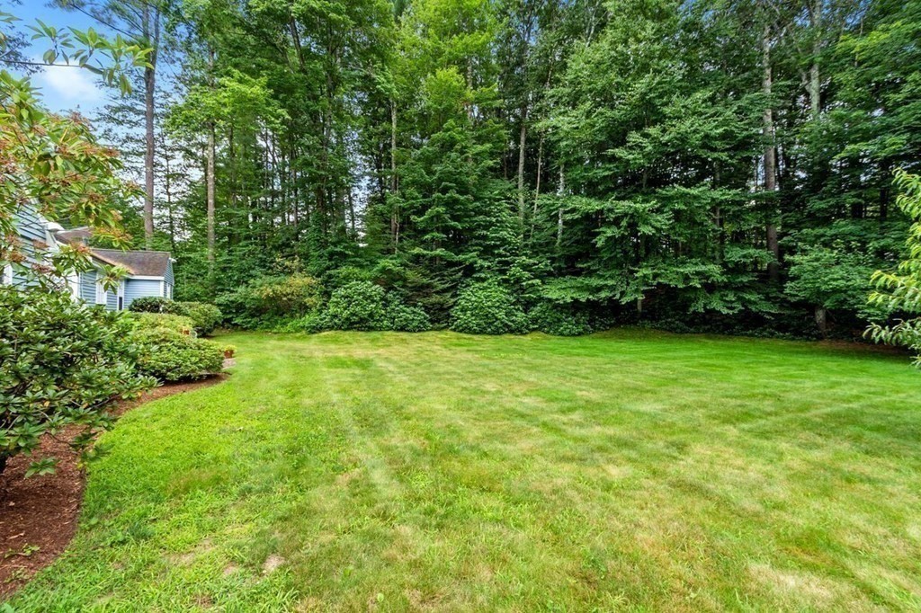 52 Edgewood Road Concord, MA 01742 - Photo 28 of 29 a view of yard with green space