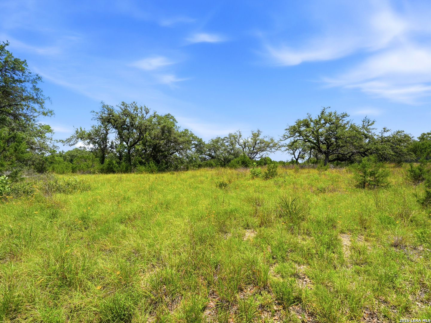 1030 Sunrise Place Spring Branch, TX 78070 - Photo 2 of 30