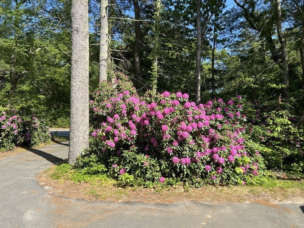 325 Marion Road Wareham, MA 02571 - Photo 27 of 29