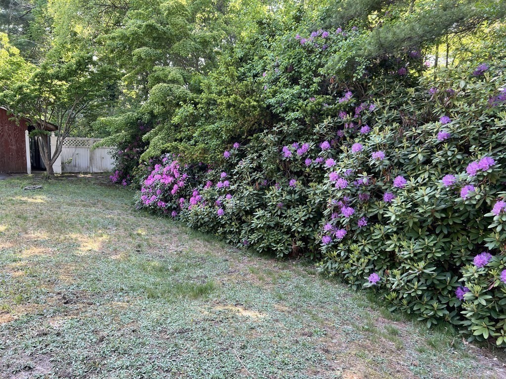 325 Marion Road Wareham, MA 02571 - Photo 28 of 29 a view of a garden with flowers