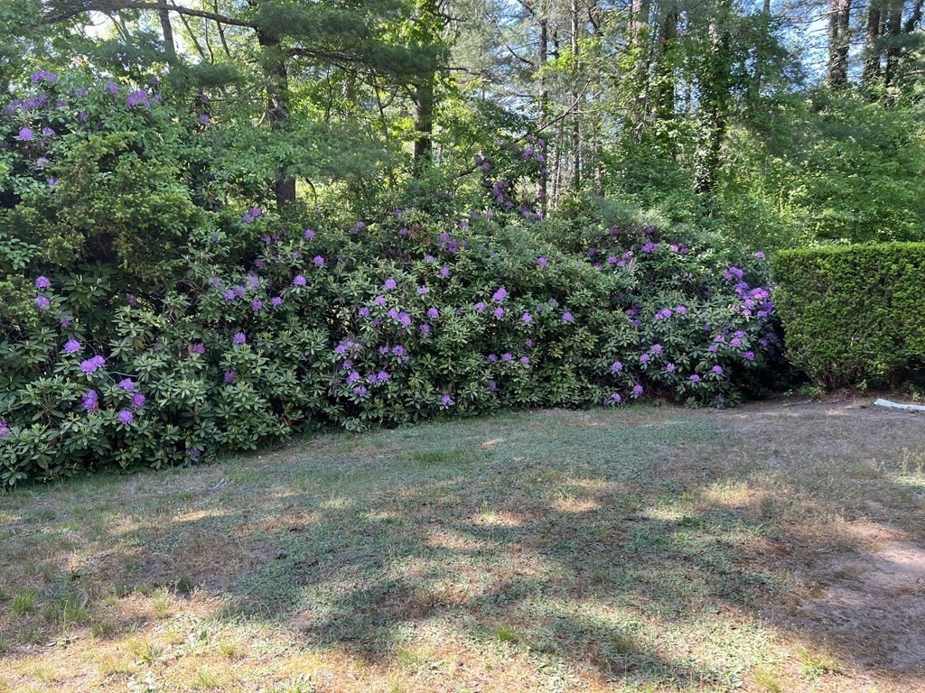325 Marion Road Wareham, MA 02571 - Photo 29 of 29 a view of a field with flowers