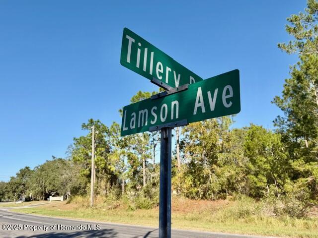0 Lamson Avenue Spring Hill, FL 34608 - Photo 2 of 6