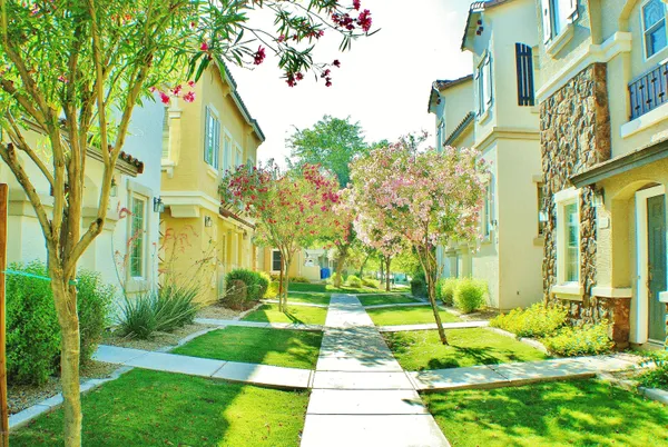 a view of a yard with plants and large trees