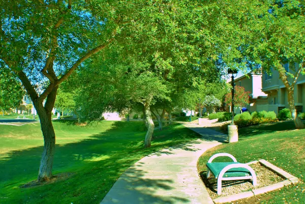 a backyard of a house with table and chairs plants and large tree