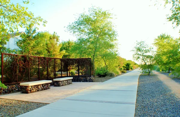 a view of a street with a bench and trees
