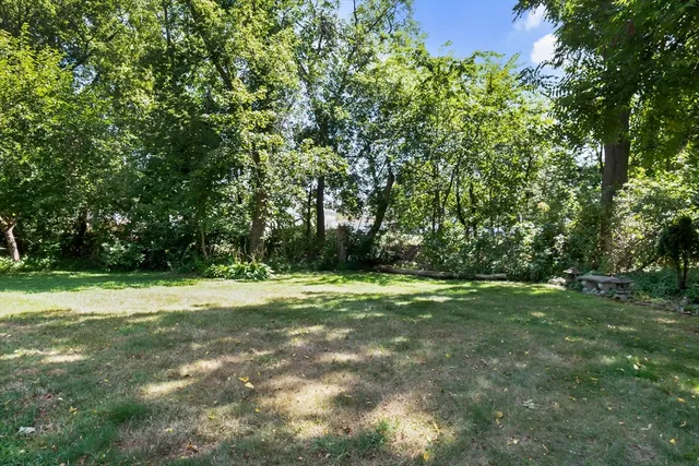 a view of a field with trees in the background