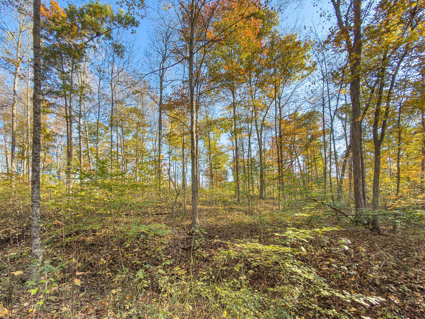 0 Chase Road Albany, OH 45710 - Photo 26 of 37 Chase Rd-26