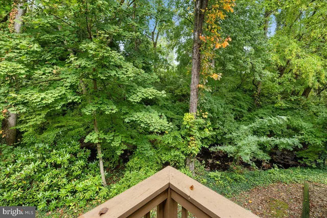 a view of a forest from a window