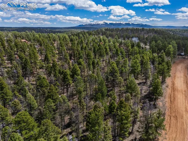 $115,000 | 451 Chipeta Creek Trail, Florissant, CO 80816