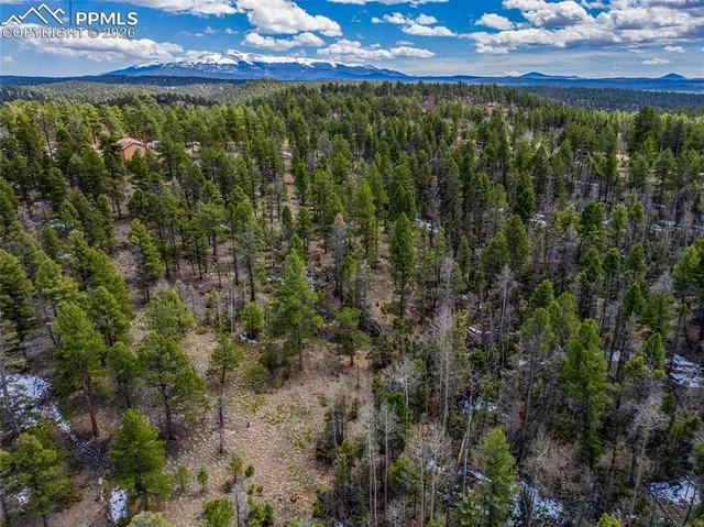 $115,000 | 451 Chipeta Creek Trail, Florissant, CO 80816