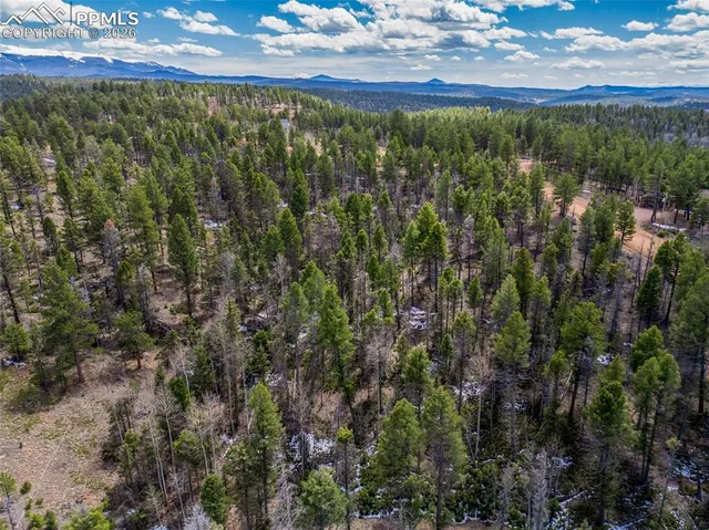 $115,000 | 451 Chipeta Creek Trail, Florissant, CO 80816