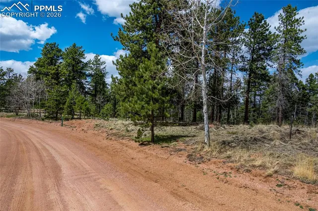 $115,000 | 451 Chipeta Creek Trail, Florissant, CO 80816
