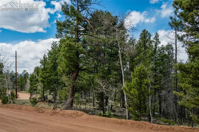 $115,000 | 451 Chipeta Creek Trail, Florissant, CO 80816