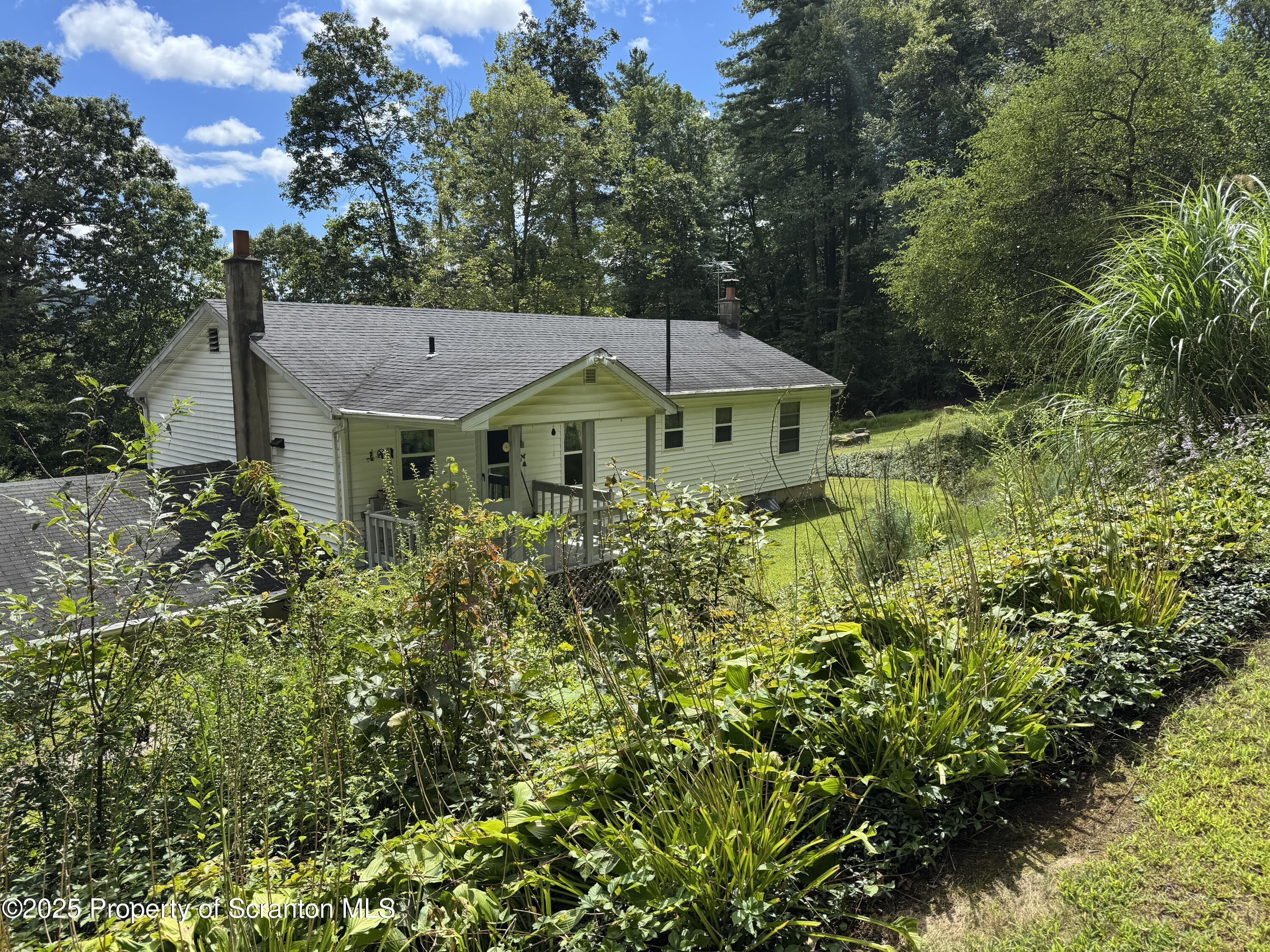 2356 Newton Ransom Boulevard Clarks Summit, PA 18411 - Photo 26 of 30 a front view of a house with a yard and large trees