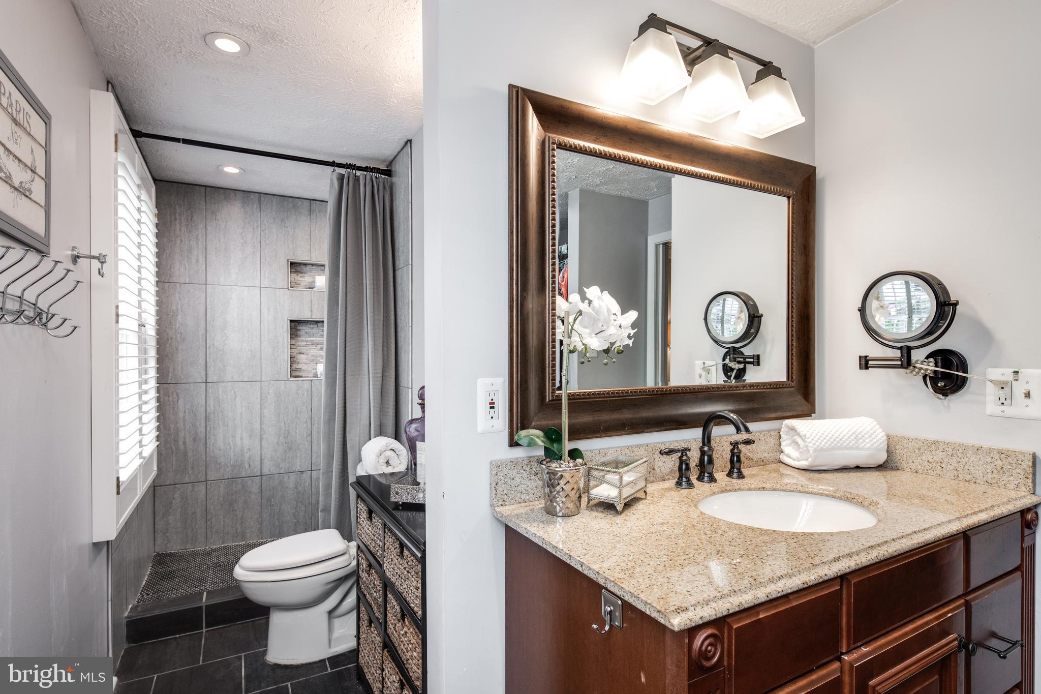 8325 Magic Leaf Road Springfield, VA 22153 - Photo 23 of 40 Master bath