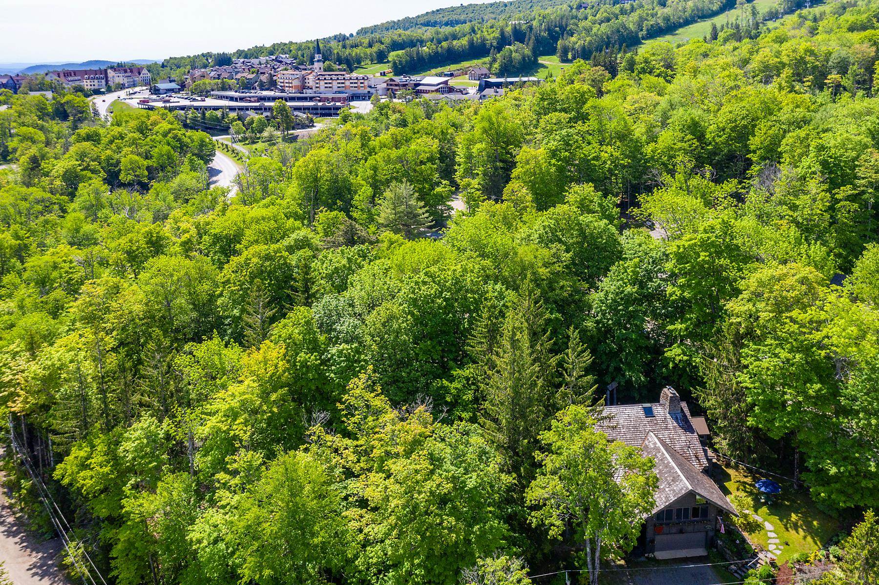 11 Founders Hill Road Winhall, VT 05340 - Photo 8 of 43