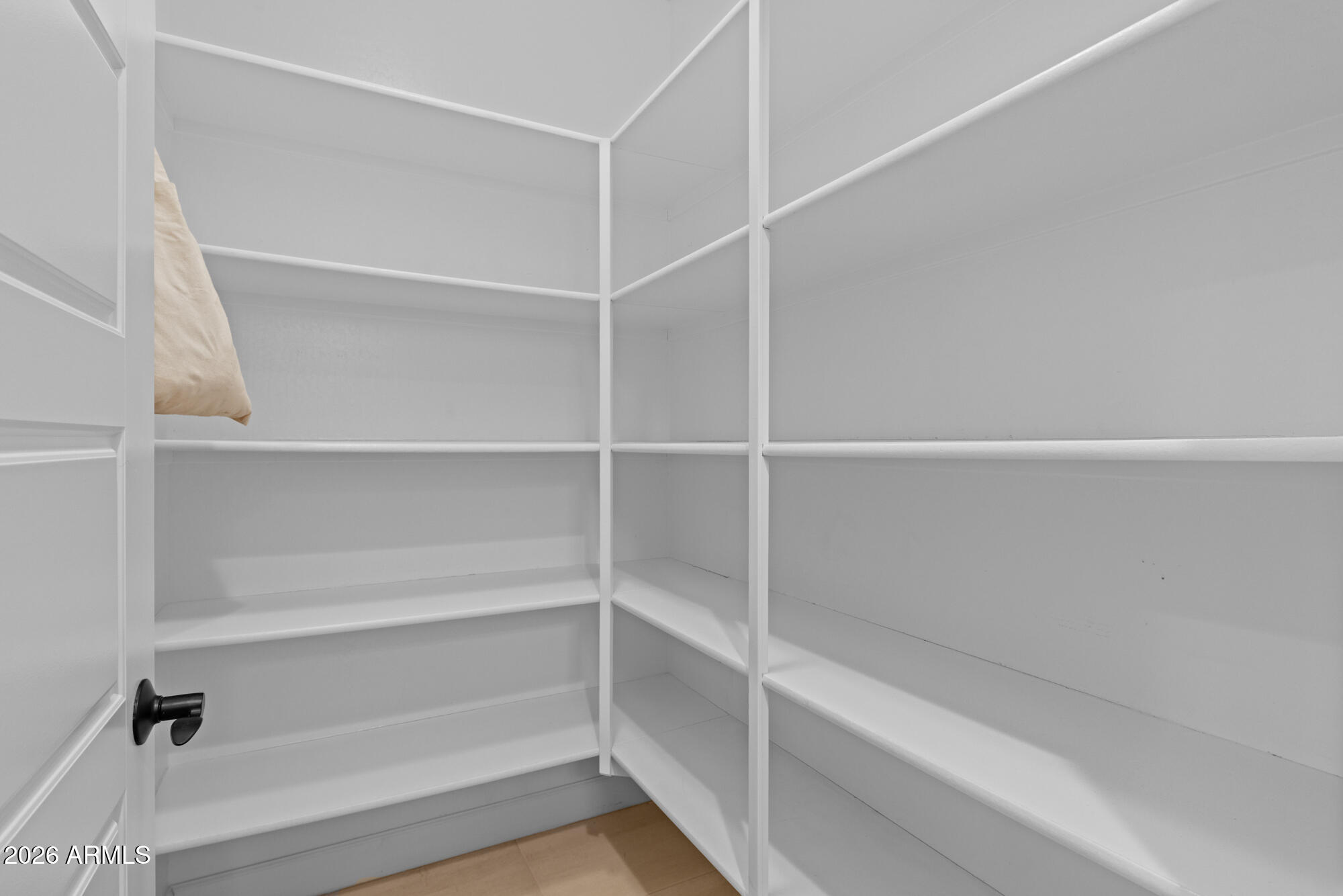 16705 Virginia Avenue Goodyear, AZ 85395 - Photo 18 of 56 a view of walk in closet with empty racks