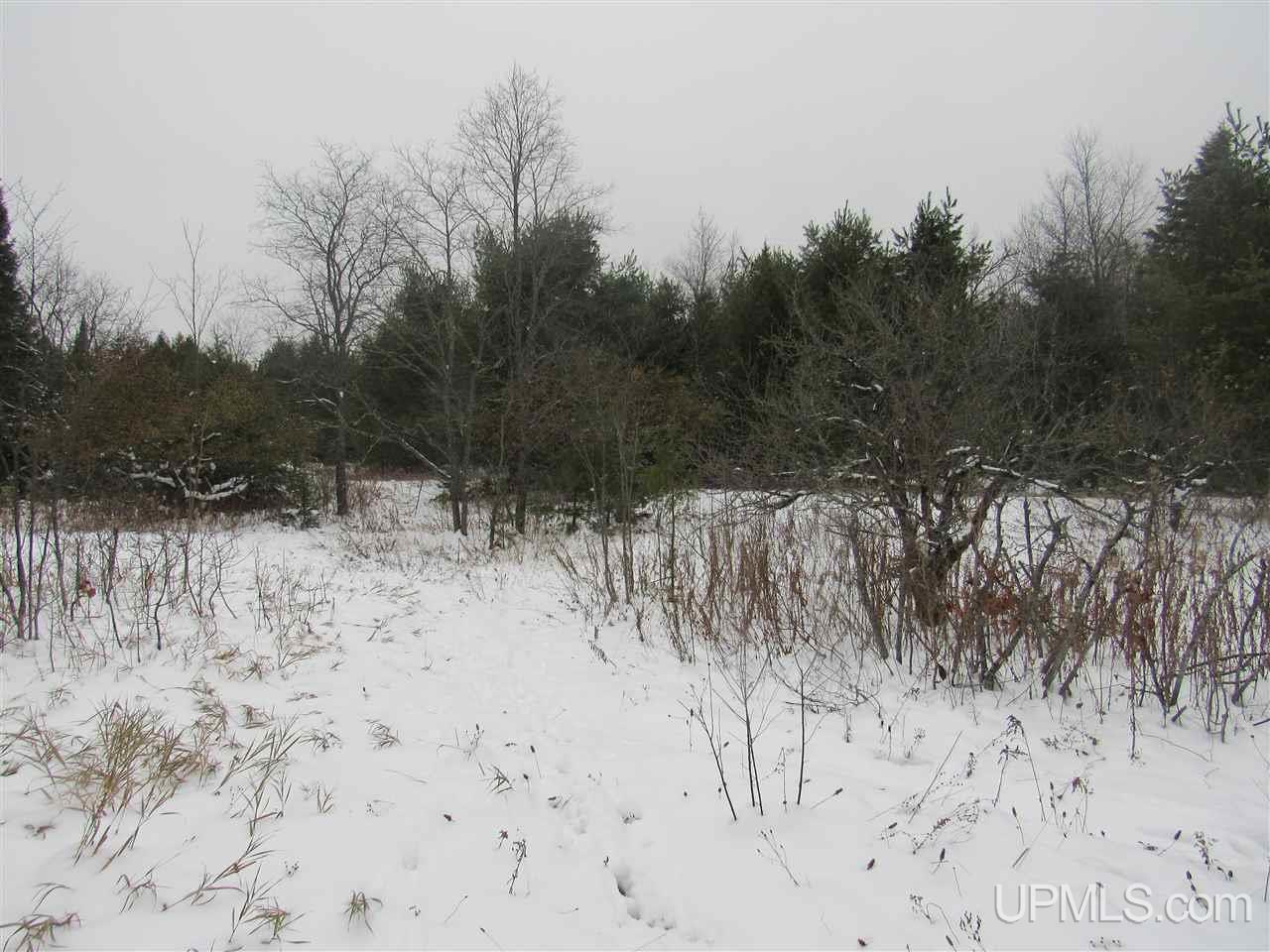 Tbd Johnson Creek Road Chatham, MI 49816 - Photo 21 of 28 Gallery Image 21