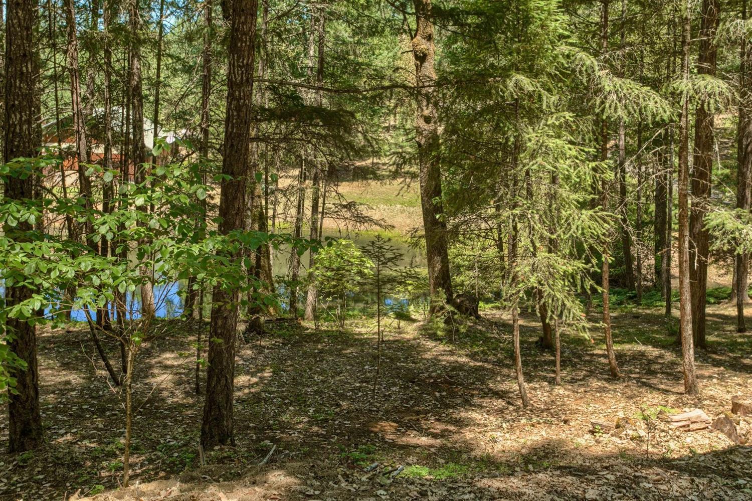 1255 Marcy Loop Road Grants Pass, OR 97527 - Photo 30 of 35 Additional Photo