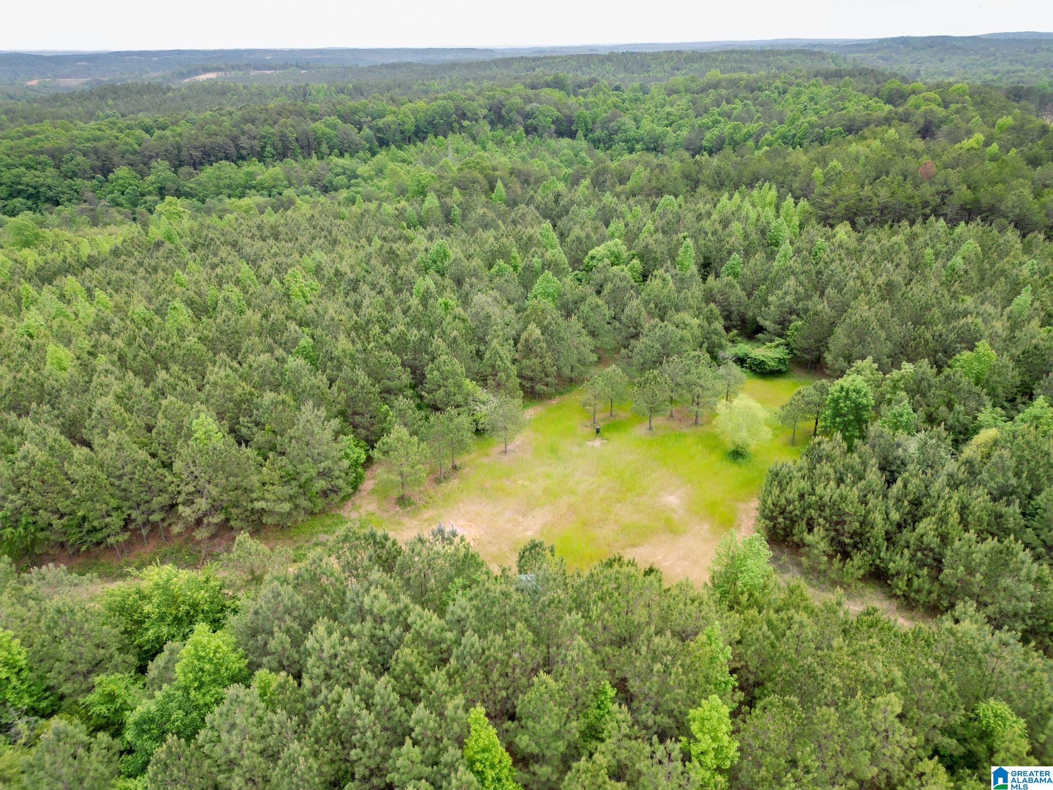 12680 Groundhog Road, Unit 1 Adger, AL 35006 - Photo 12 of 28