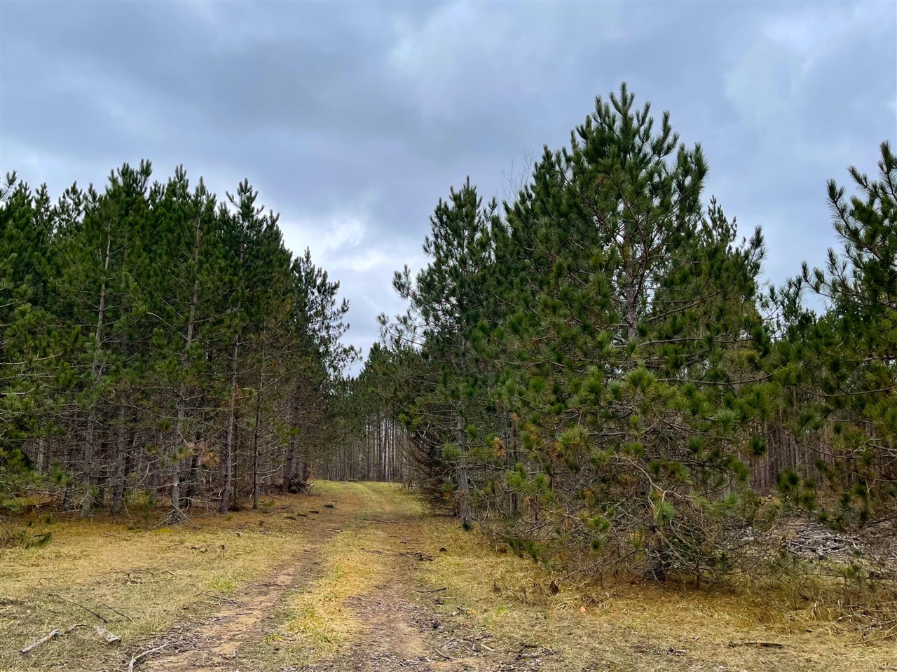 Eight Mile Road Kaleva, MI 49645 - Photo 6 of 14