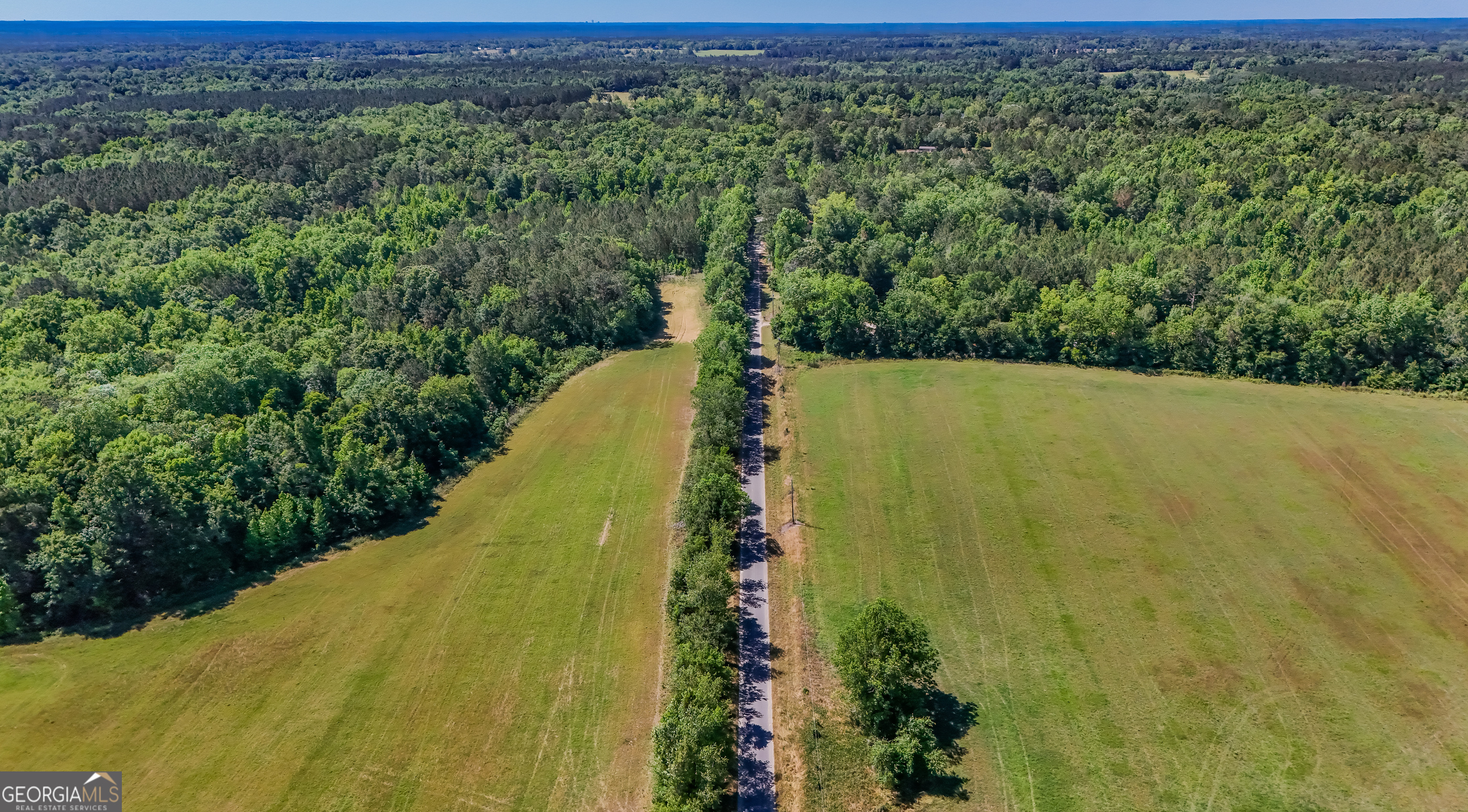 0 Darsey Road Cairo, GA 39828 - Photo 4 of 16 a view of a large yard with large trees