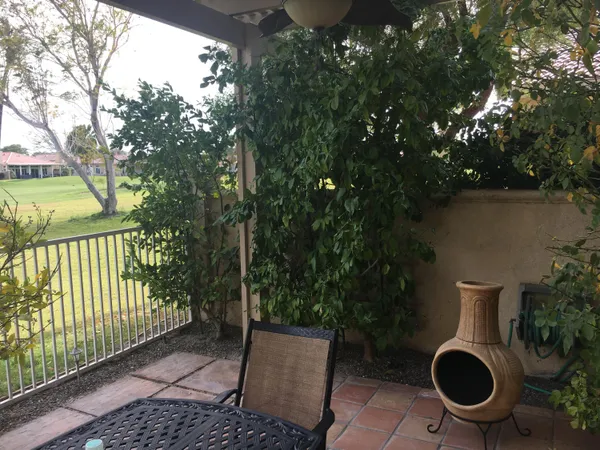 a view of a garden