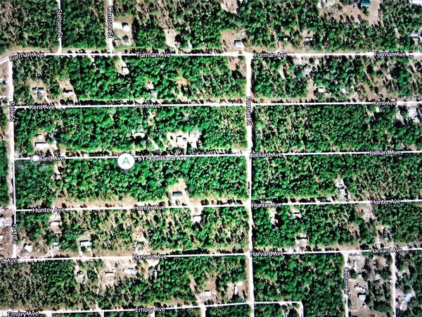 an aerial view of a houses and roads