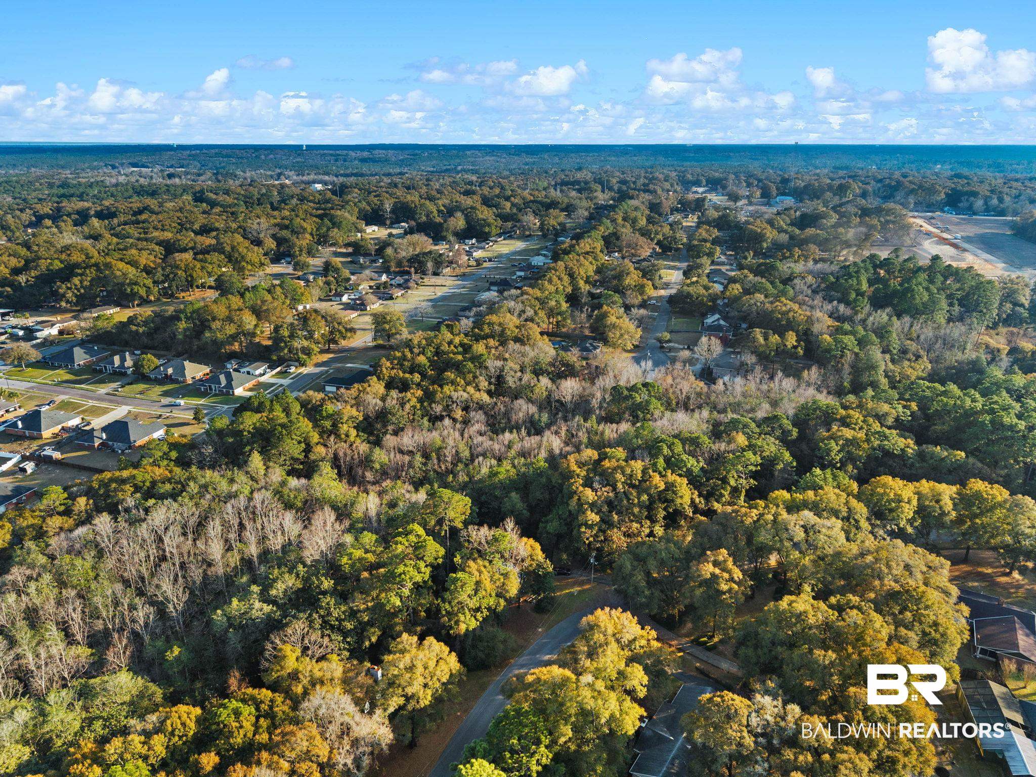 0 Meadow Lane Mobile, AL 36618 - Photo 5 of 8