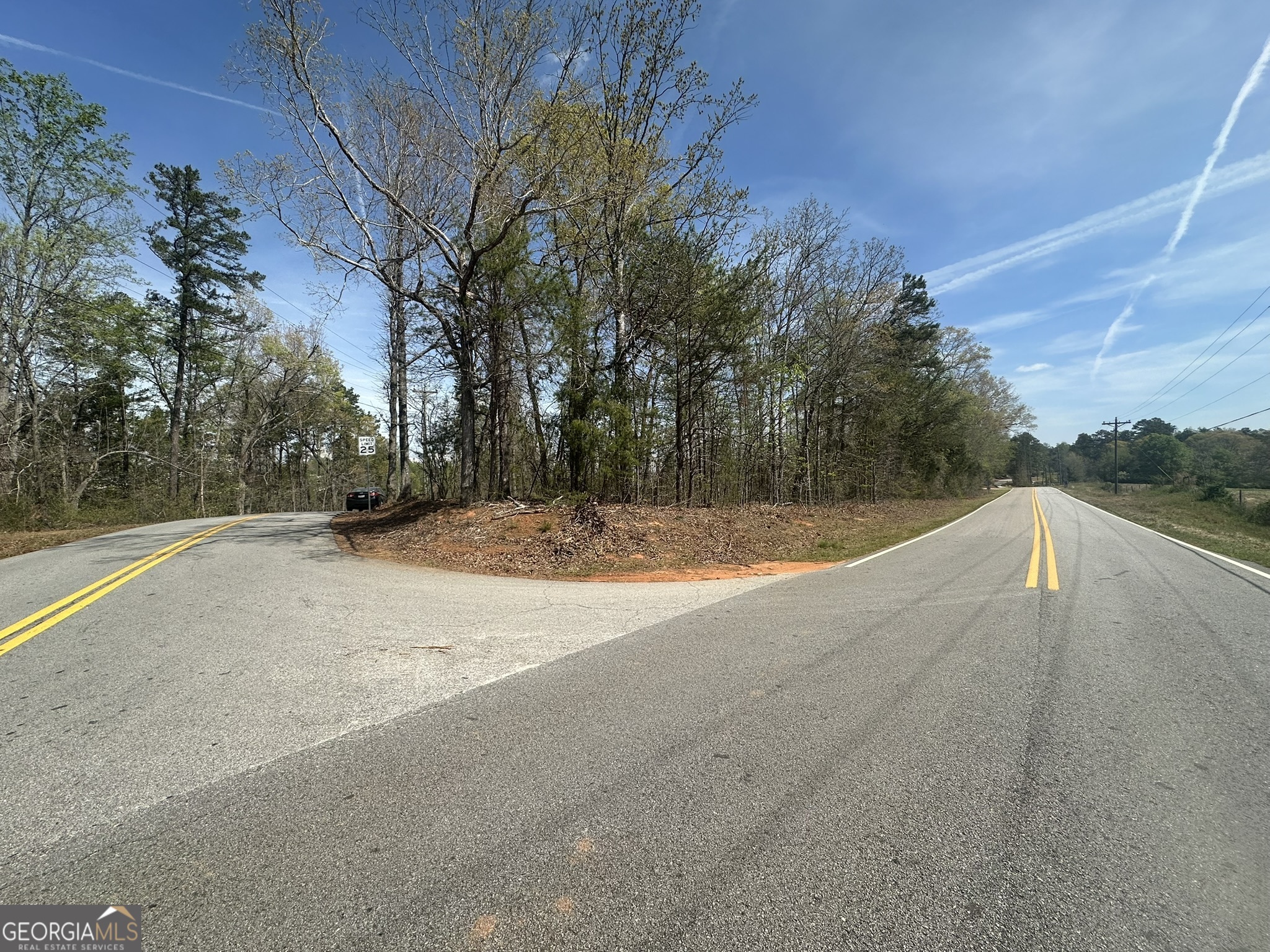 1035 Jenkins Ferry Road Martin, GA 30557 - Photo 3 of 3