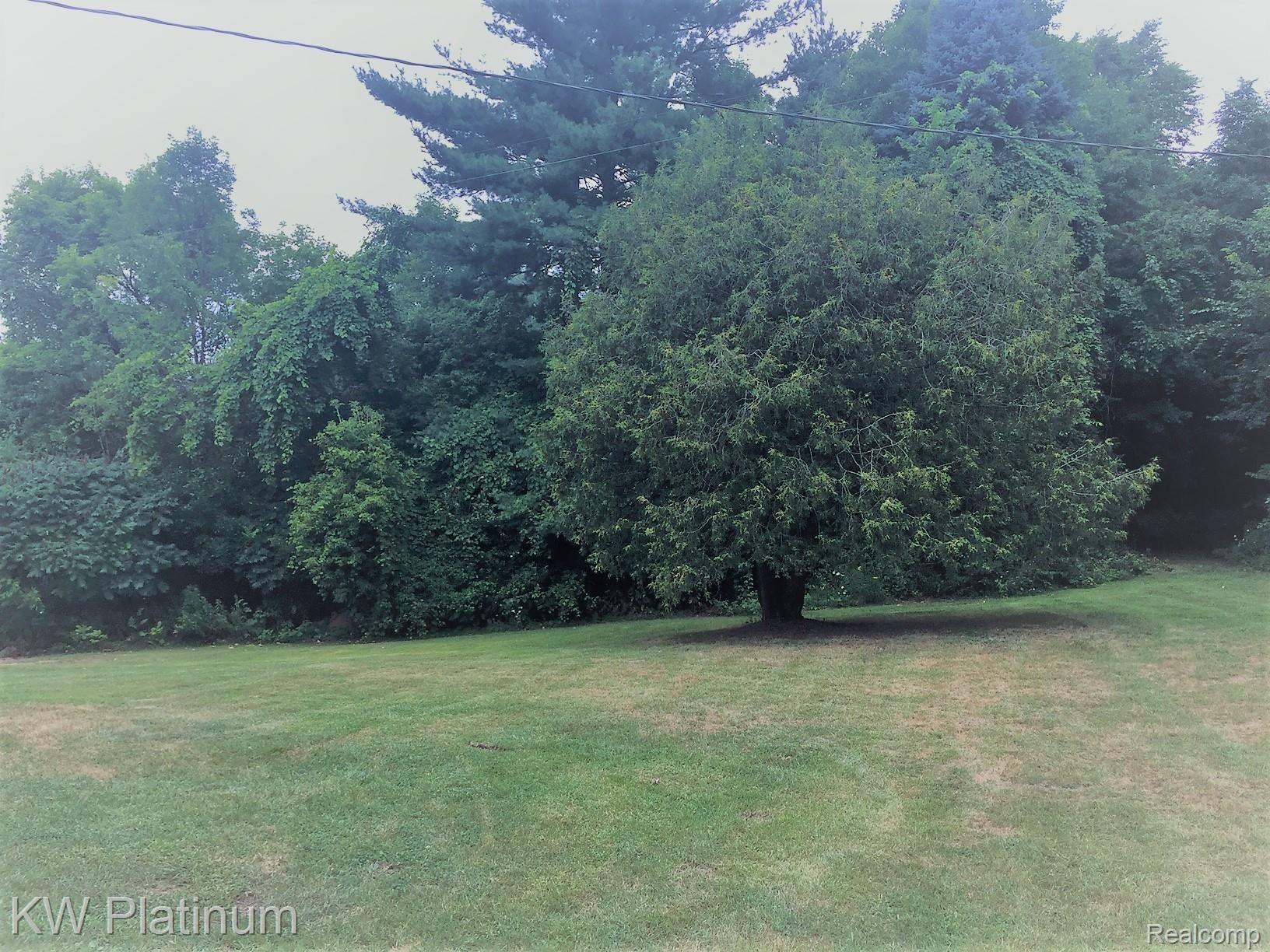 6115 Wellman Line Road Croswell, MI 48422 - Photo 4 of 12 IMG_7183 updated.jpg