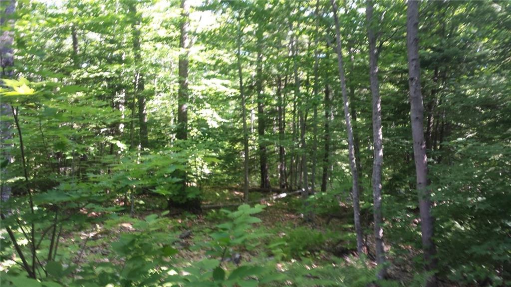 0 Sodom Road Buckfield, ME 04220 - Photo 19 of 27 Photo