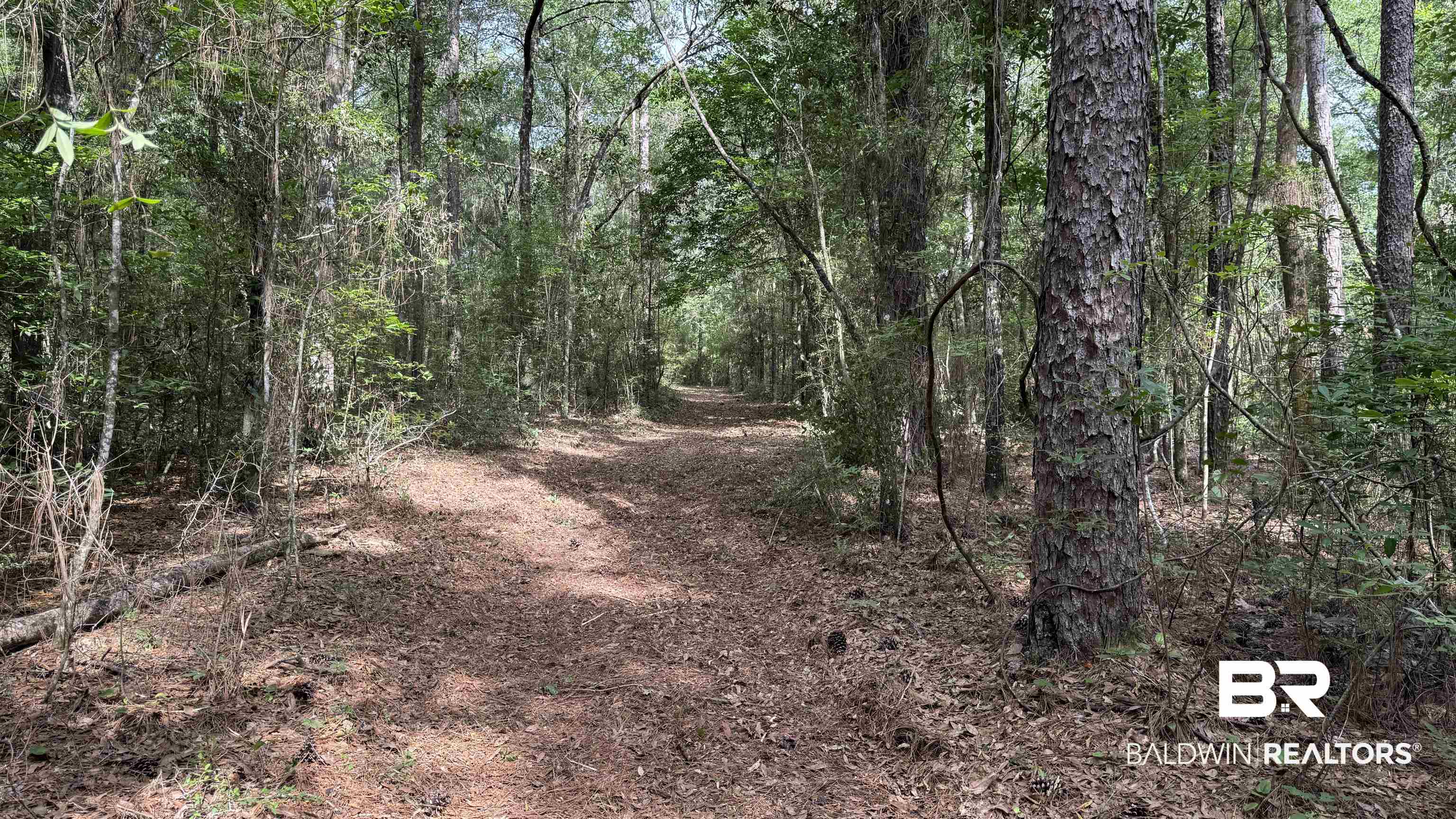 0 US Highway 98 Semmes, AL 36575 - Photo 15 of 24