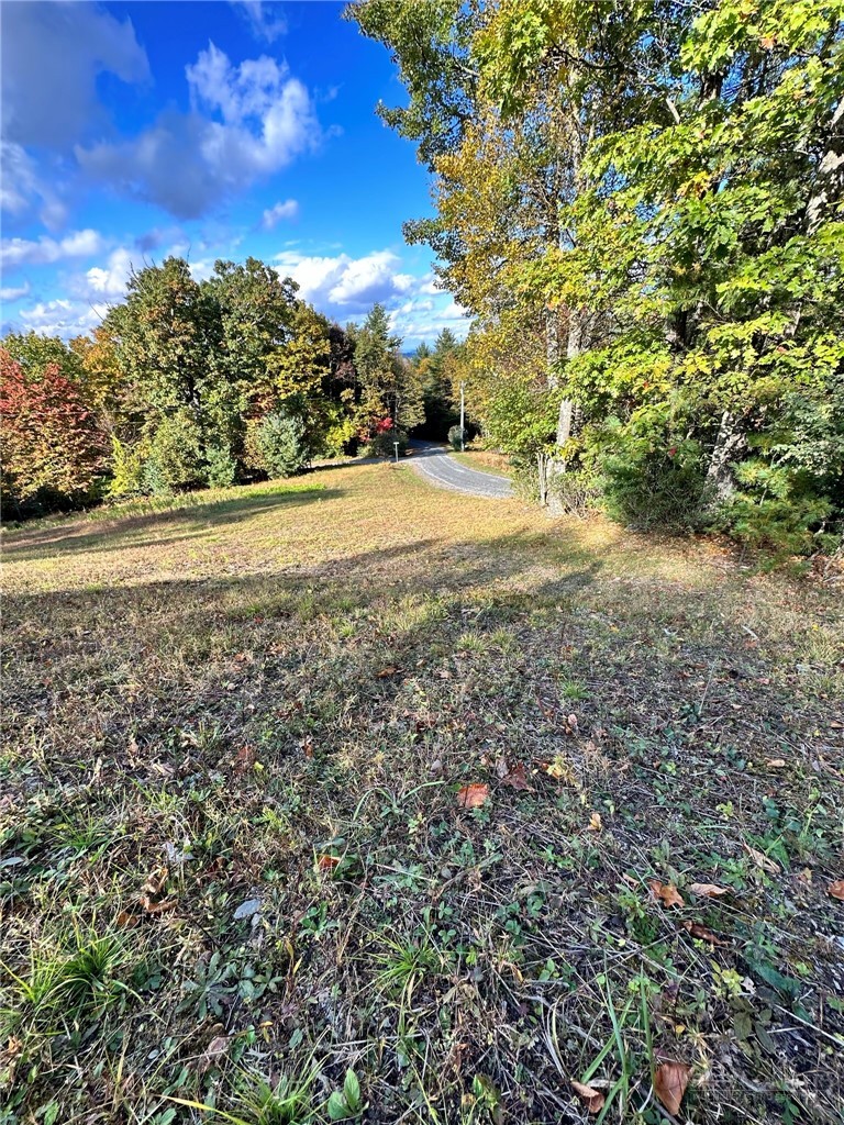 718 Green Mountain Road Sparta, NC 28675 - Photo 29 of 30