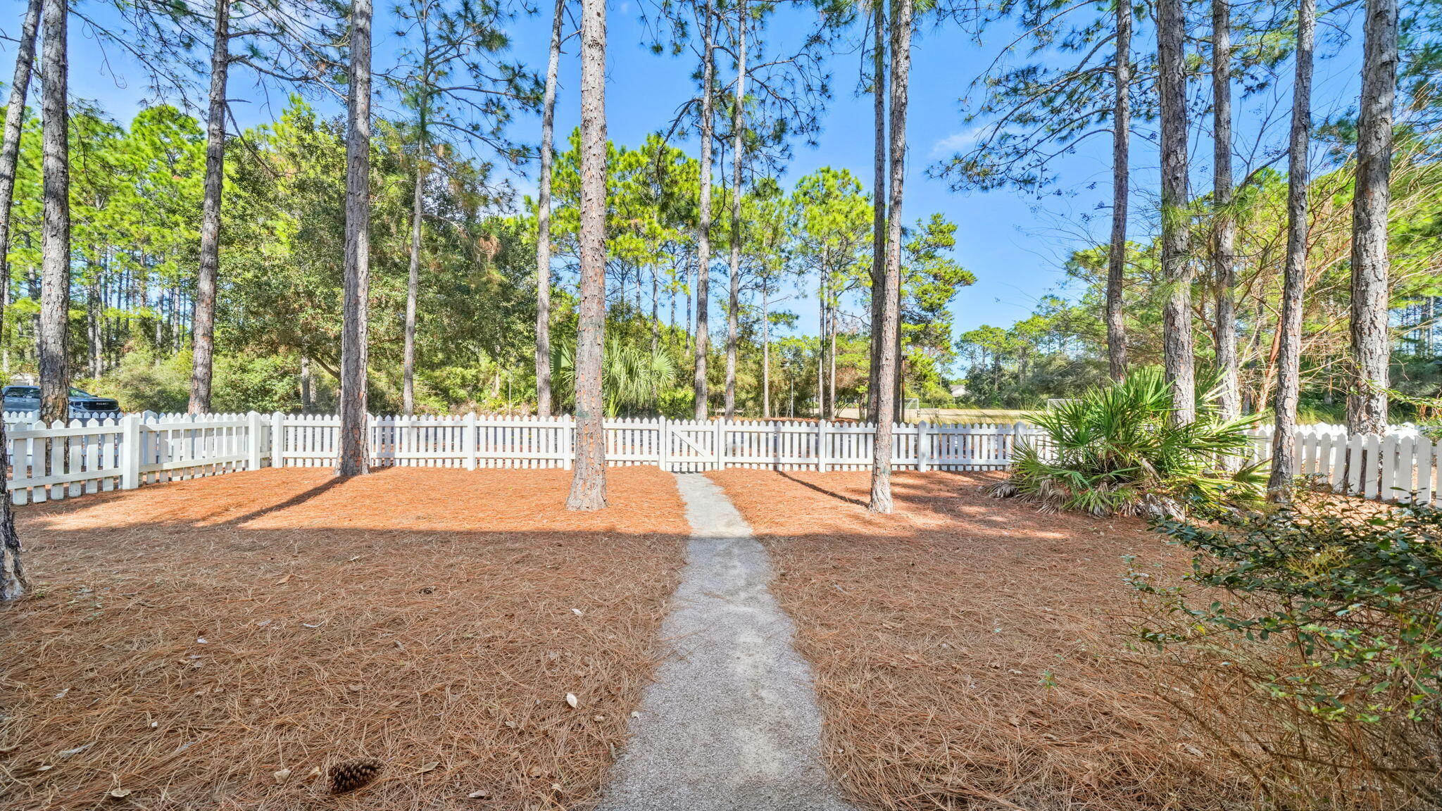 302 Jack Knife Drive Inlet Beach, FL 32461 - Photo 5 of 54 8-web-or-mls-DSC02399