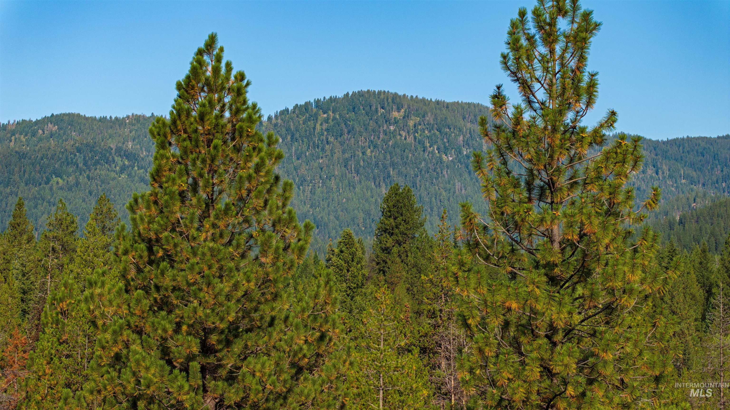 1 Warm Lake Road Cascade, ID 83611 - Photo 6 of 33