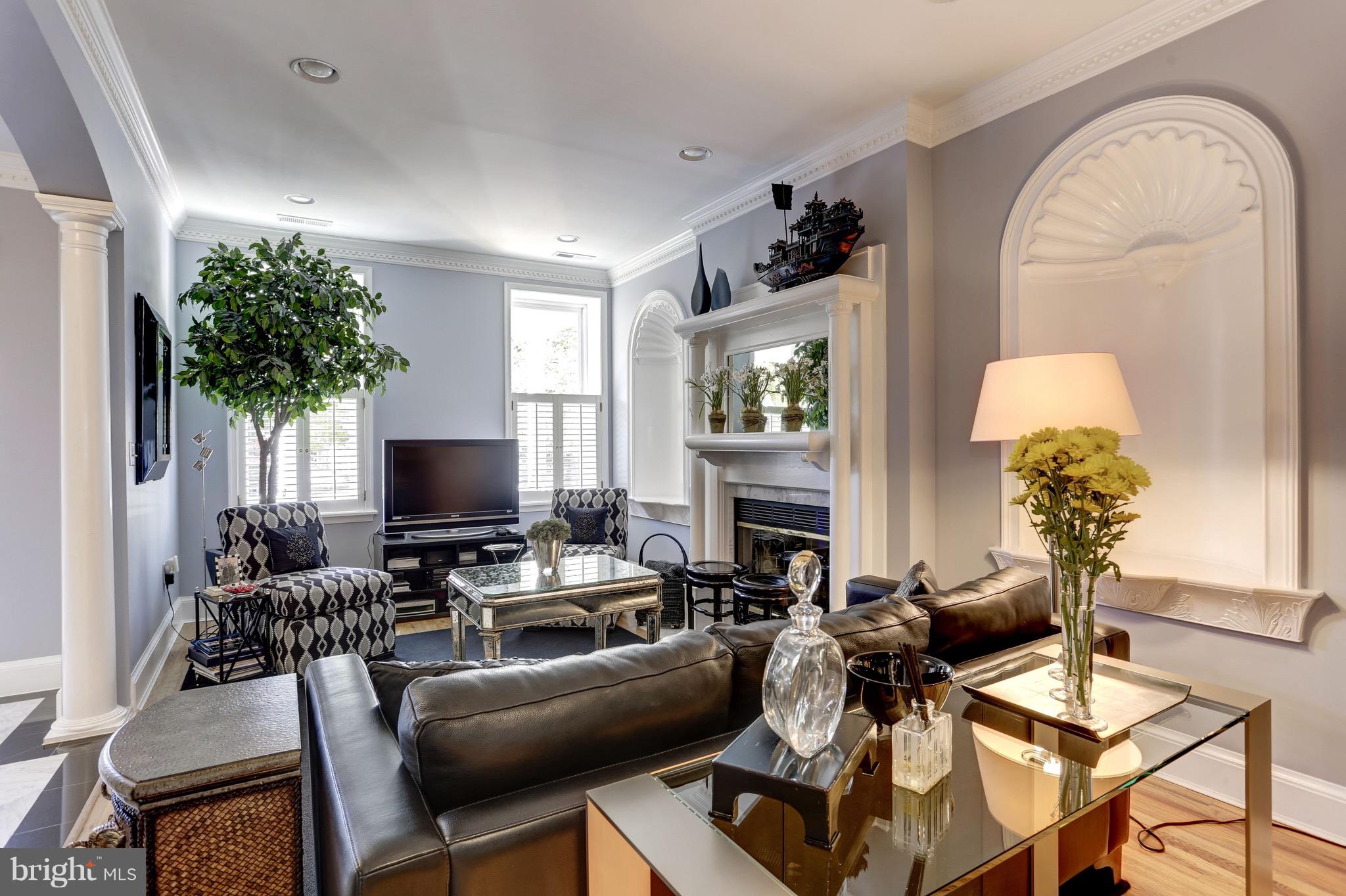 224 9th Street Southeast Washington, DC 20003 - Photo 5 of 29 a work room with furniture and a potted plant