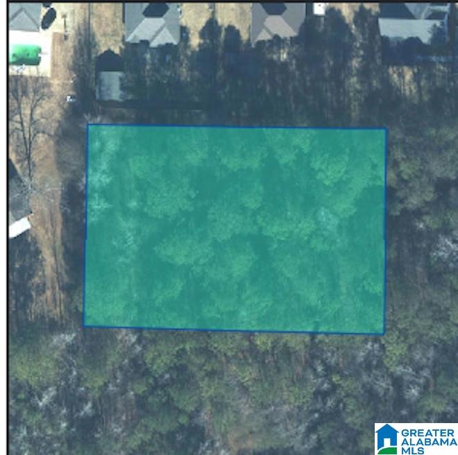 0 Lane Road Oxford, AL 36203 - Photo 1 of 4