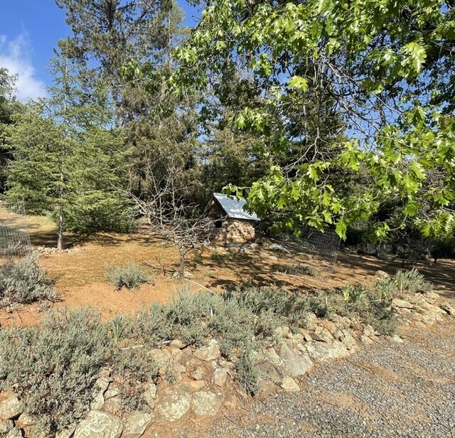 46967 Blue Ridge Drive Springville, CA 93265 - Photo 6 of 63