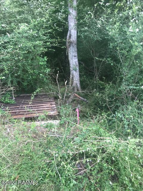 END_OF_ACREAGE_PHOTO