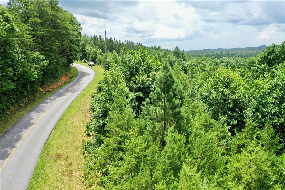 0 Verner Mill Road Mountain Rest, SC 29664 - Photo 1 of 42 Gallery Image 1