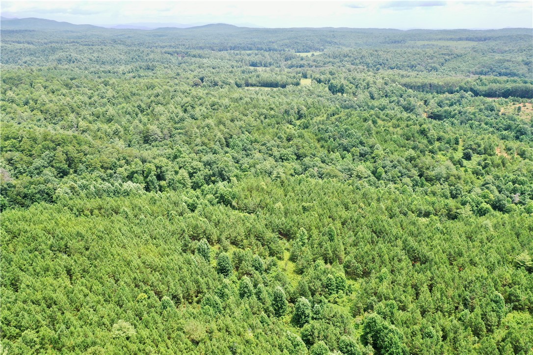 0 Verner Mill Road Mountain Rest, SC 29664 - Photo 11 of 42 Gallery Image 11