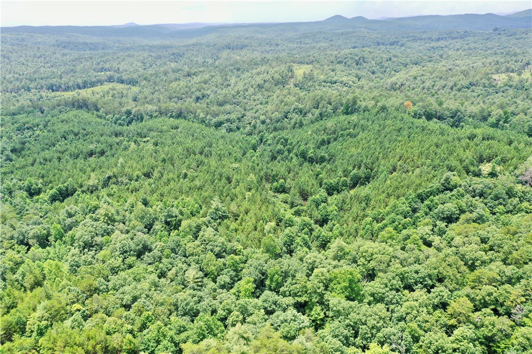 0 Verner Mill Road Mountain Rest, SC 29664 - Photo 12 of 42 Gallery Image 12
